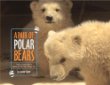 A Pair of Polar Bears