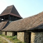 IMG_0037