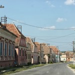 IMG_0196
