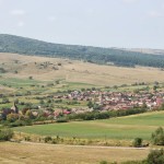 IMG_0278